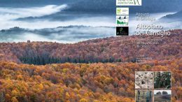 Appunti di geologia – Altopiano del Cansiglio