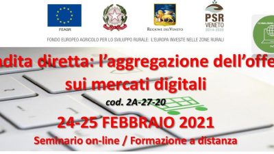 Vendita diretta: l’aggregazione dell’offerta sui mercati digitali