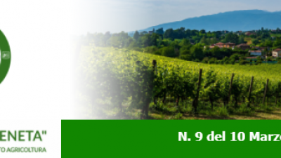 Newsletter Agricoltura Veneta n. 9 del 10 marzo 2021