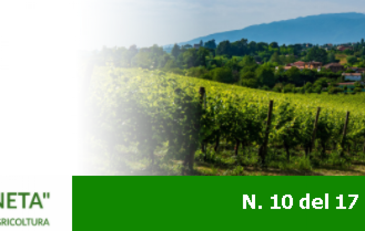 Newsletter Agricoltura Veneta n. 10 del 17 marzo 2021