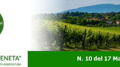 Newsletter Agricoltura Veneta n. 10 del 17 marzo 2021