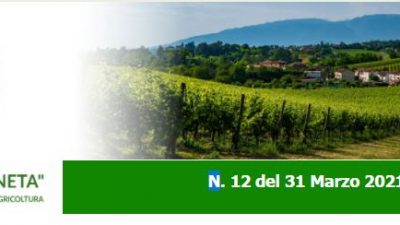 Agricoltura Veneta n. 12 del 31.03.2021