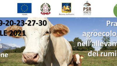 Pratiche agroecologiche nell’allevamento dei ruminanti