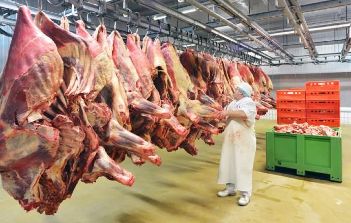 Report 2020 su Allevamento e macellazioni di capi bovini, suini e avicoli in Veneto