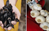 POLESINE, TERRA DI ECCELLENZE AGROALIMENTARI CON SIGILLO EUROPEO