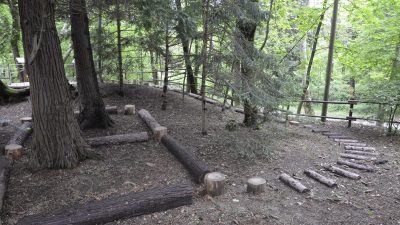 UN FINE SETTIMANA NEI GIARDINI E NEI BOSCHI DI VENETO AGRICOLTURA