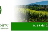 NEWSLETTER N. 15 DEL 21.4.2021