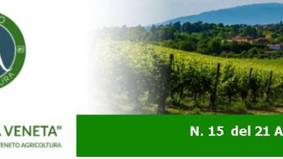 NEWSLETTER N. 15 DEL 21.4.2021