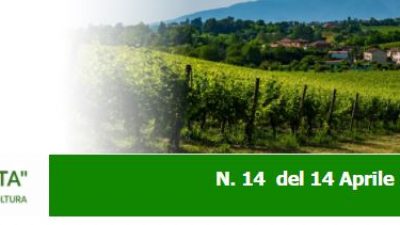 Agricoltura Veneta n. 14 del 14.04.2021