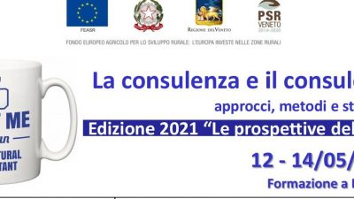 La consulenza e il consulente: approcci, metodi e strumenti (Edizione 2021: Le prospettive dell’AKIS)