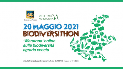 “BIODIVERSITHON 2021”, LA GRANDE MARATONA VENETA PER LA SALVAGUARDIA DELLA BIODIVERSITÀ AGRARIA