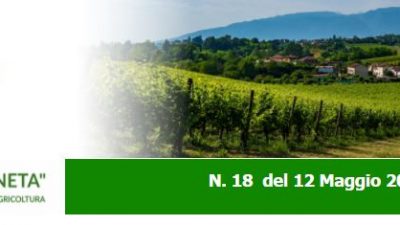AGRICOLTURA VENETA N. 18 DEL 12.05.2021
