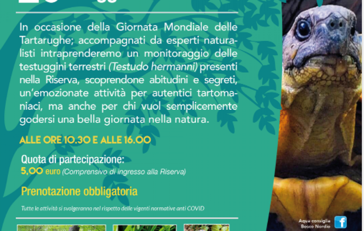 SANT’ANNA DI CHIOGGIA-VE: TARTOMANIA A BOSCO NORDIO