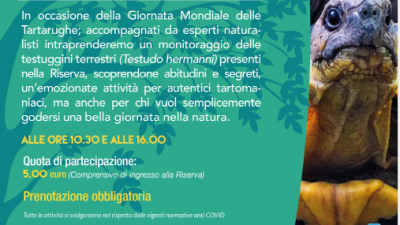 SANT’ANNA DI CHIOGGIA-VE: TARTOMANIA A BOSCO NORDIO