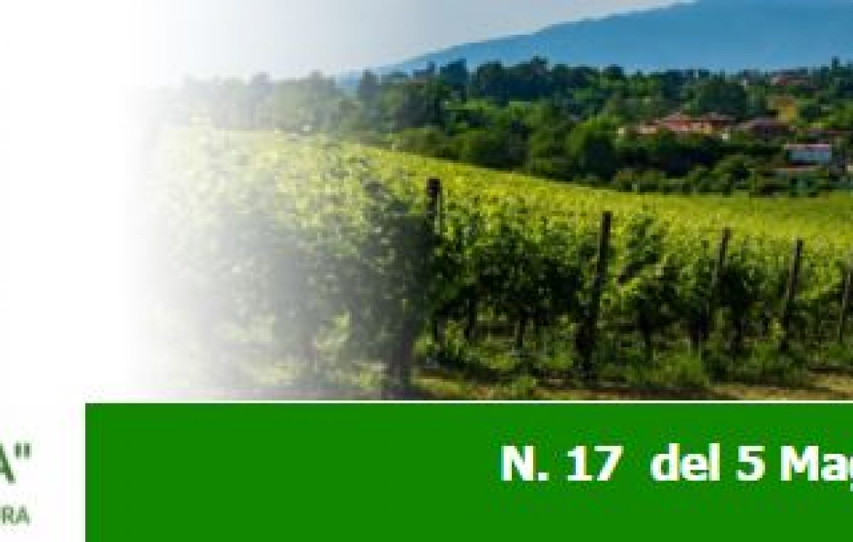 Agricoltura Veneta n. 17 del 5 maggio 2021