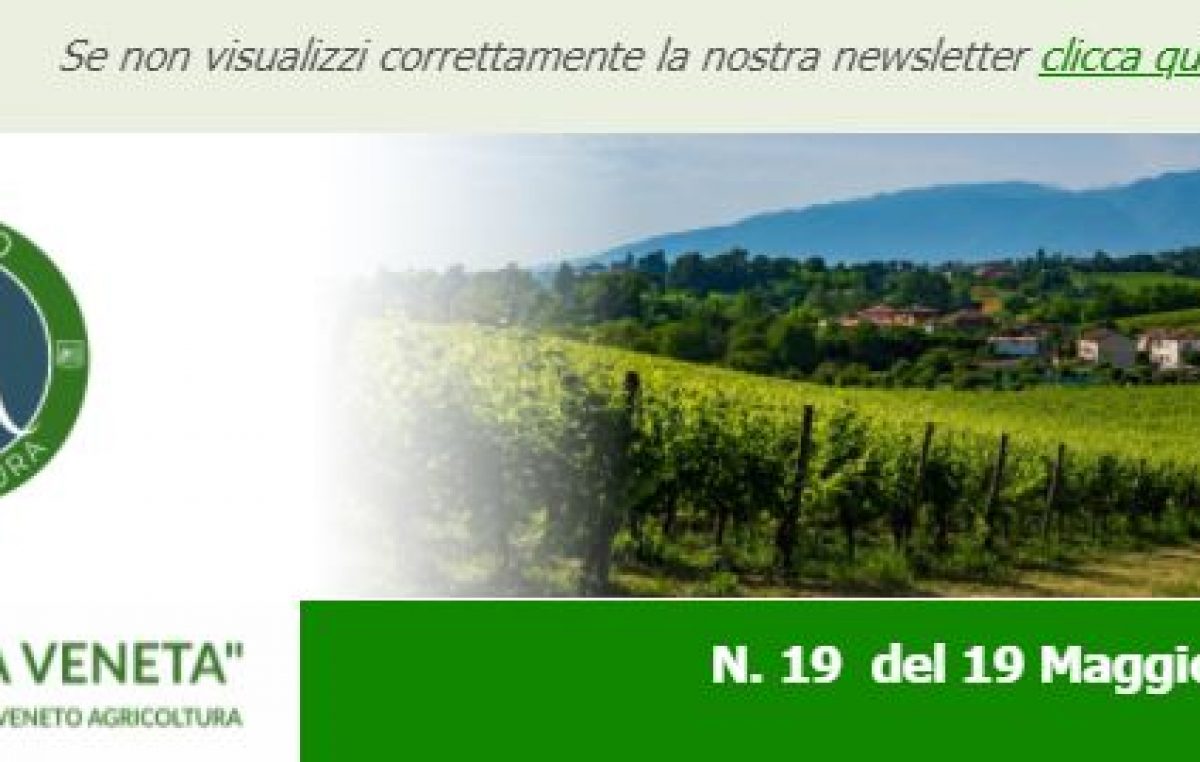 Agricoltura Veneta n. 19 del 19.05.2021