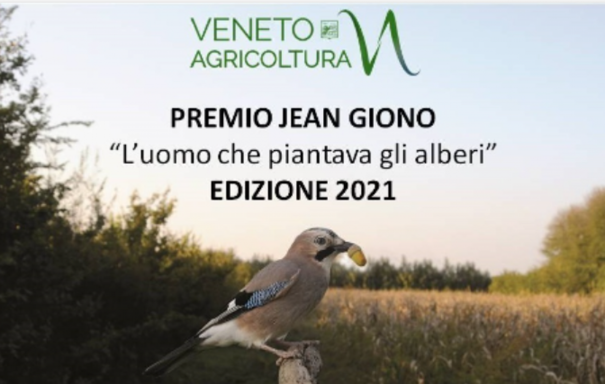 ANCHE NEL 2021 UN PREMIO PER CHI PIANTA GLI ALBERI