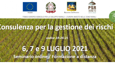 Consulenza per la gestione dei rischi