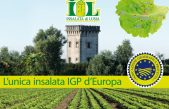 FOCUS SULL’INSALATA DI LUSIA (RO-PD), UNICA LATTUGA EUROPEA IGP