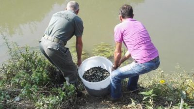 106.000 TROTE FARIO NEL BACINO ASTICO-LEOGRA (VI)