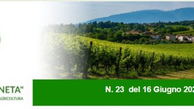 Agricoltura Veneta n. 23 del 16.6.2021