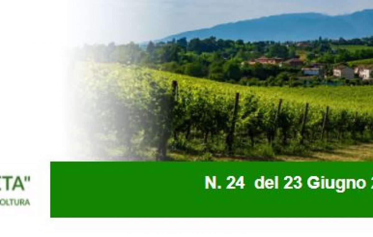 Agricoltura Veneta n. 24 del 23.6.2021