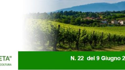 Agricoltura Veneta n. 22 del 09.06.2021