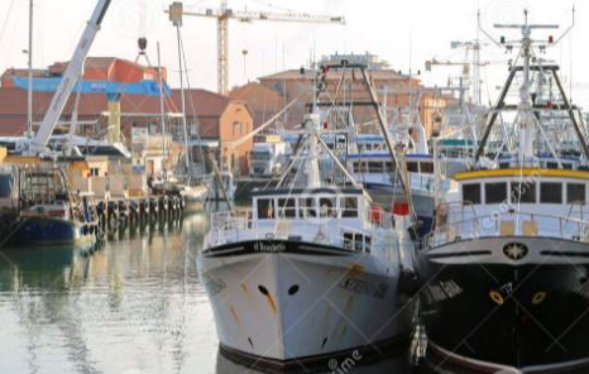VENETO AGRICOLTURA, AL VIA LA SETTIMANA DELLA CONGIUNTURA AGRICOLA: OGGI IL COMPARTO DELLA PESCA VENETA SOTTO I RIFLETTORI