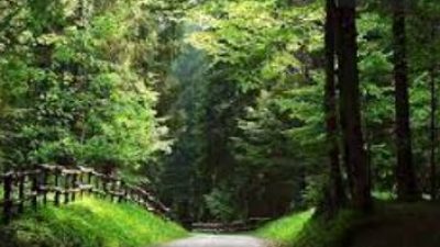 LUNEDI’ 19 LUGLIO: D-DAY SULLE FORESTE DEL VENETO
