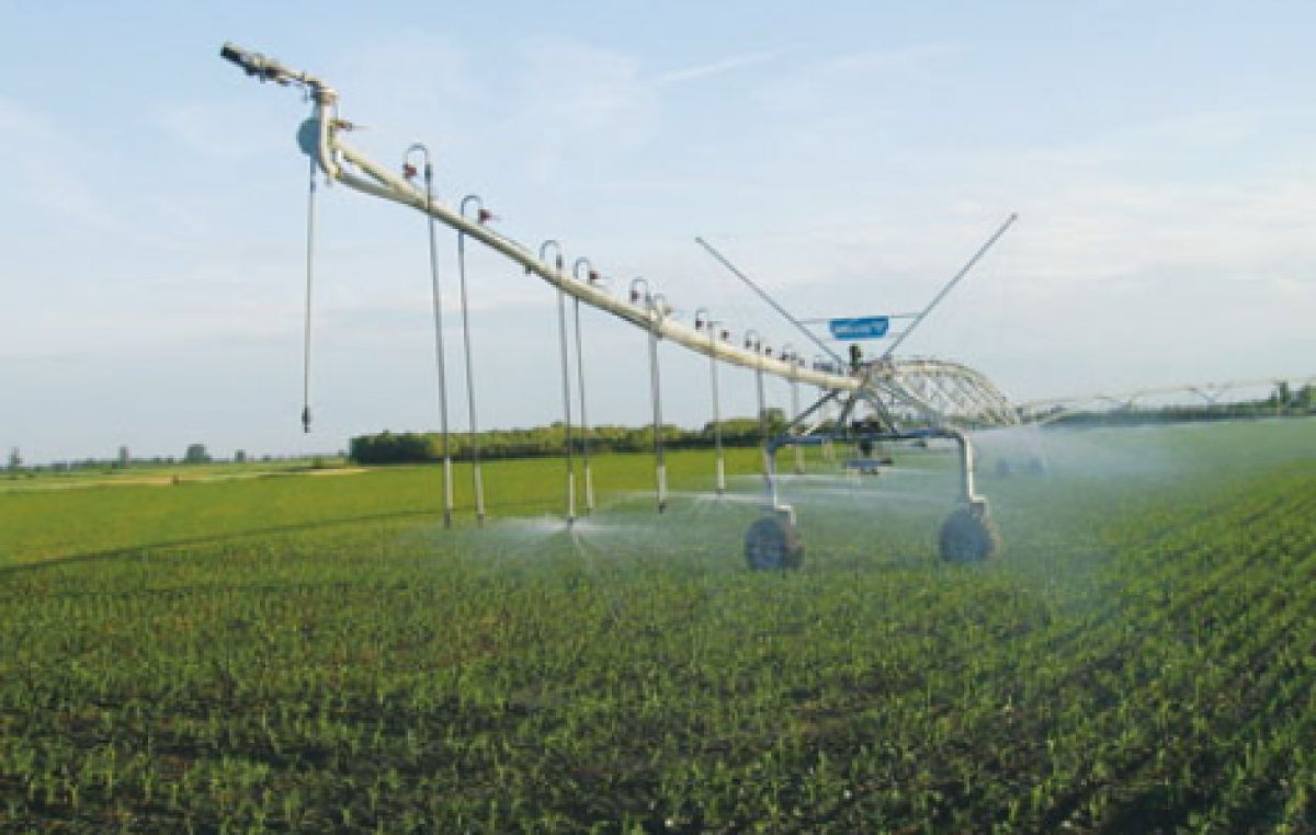 VALLEVECCHIA DI CAORLE (VE), IMPARIAMO A CONSUMARE MENO ACQUA