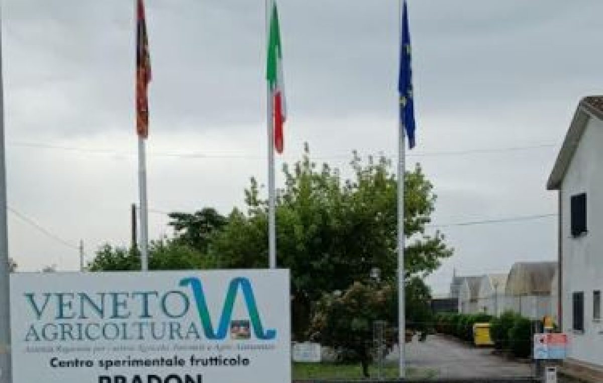 BANDIERE A MEZZ’ASTA A VENETO AGRICOLTURA