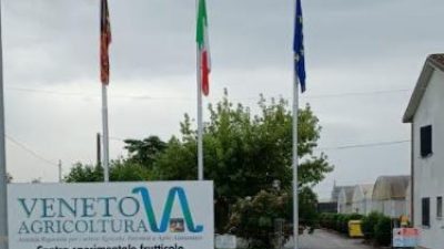 BANDIERE A MEZZ’ASTA A VENETO AGRICOLTURA