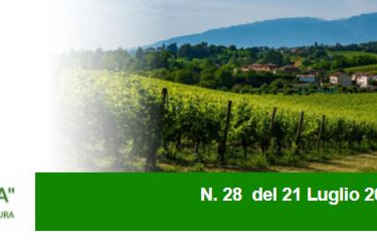 AGRICOLTURA VENETA N. 28 DEL 21.7.2021