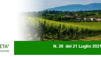 AGRICOLTURA VENETA N. 28 DEL 21.7.2021