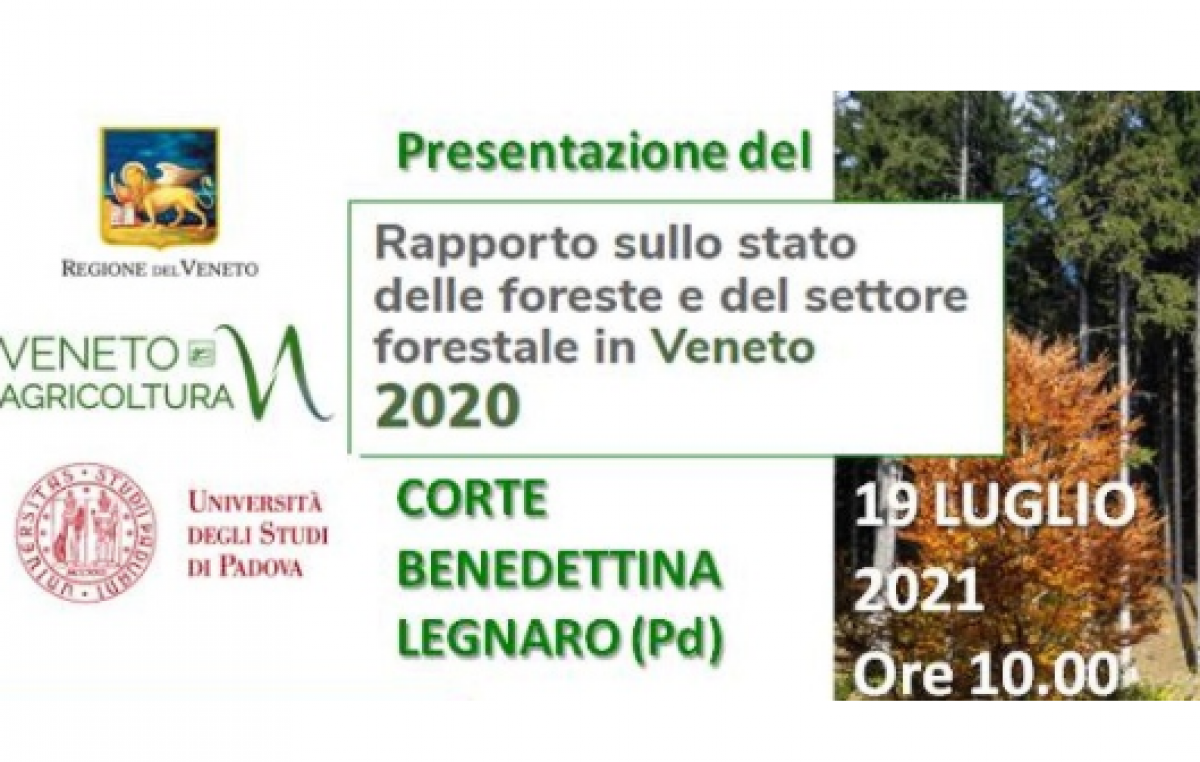 REGIONE E VENETO AGRICOLTURA PRESENTANO IL RAPPORTO 2020 SULLE FORESTE