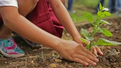 RIDIAMO IL SORRISO ALLA PIANURA PADANA, CONCLUSA LA PRIMA FASE: BEN 342 I COMUNI VENETI ADERENTI
