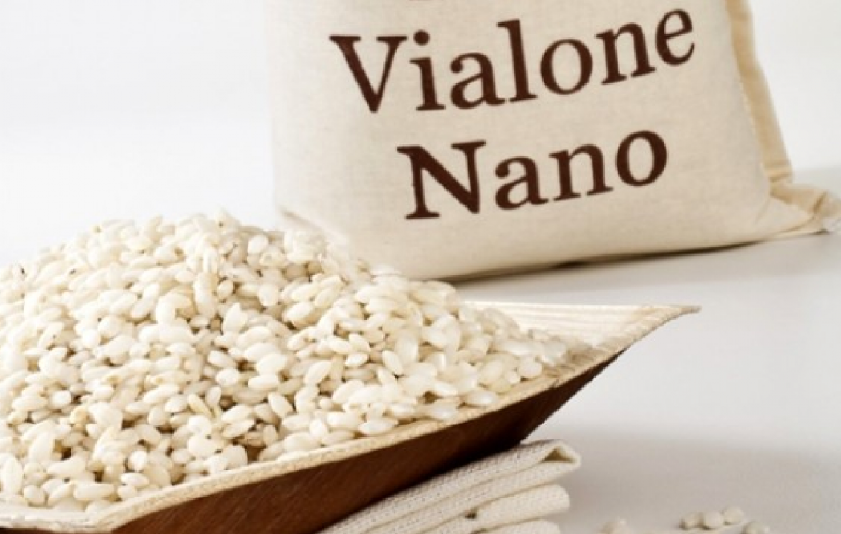 “NANO” MA GRANDE, ARRIVA DA VERONA IL PRINCIPE DA RISOTTI