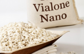 “NANO” MA GRANDE, ARRIVA DA VERONA IL PRINCIPE DA RISOTTI