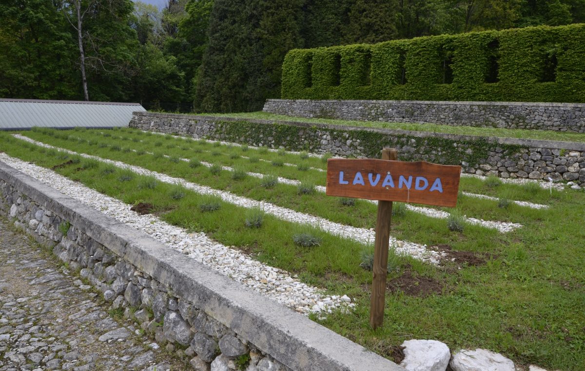 PIEVE DEL GRAPPA (TV) UN WEEK-END NEL GIARDINO DELL’OLFATTO
