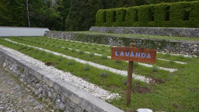PIEVE DEL GRAPPA (TV) UN WEEK-END NEL GIARDINO DELL’OLFATTO