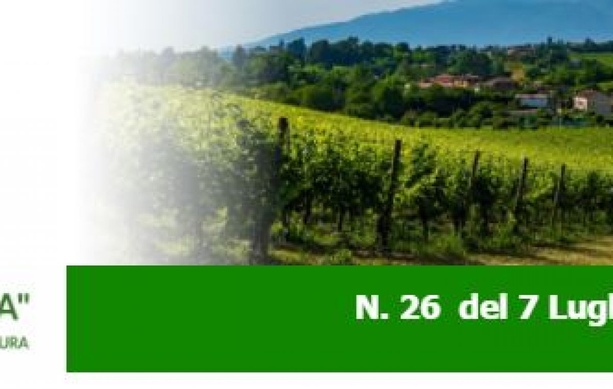 Agricoltura Veneta N. 26 del 8.7.2021