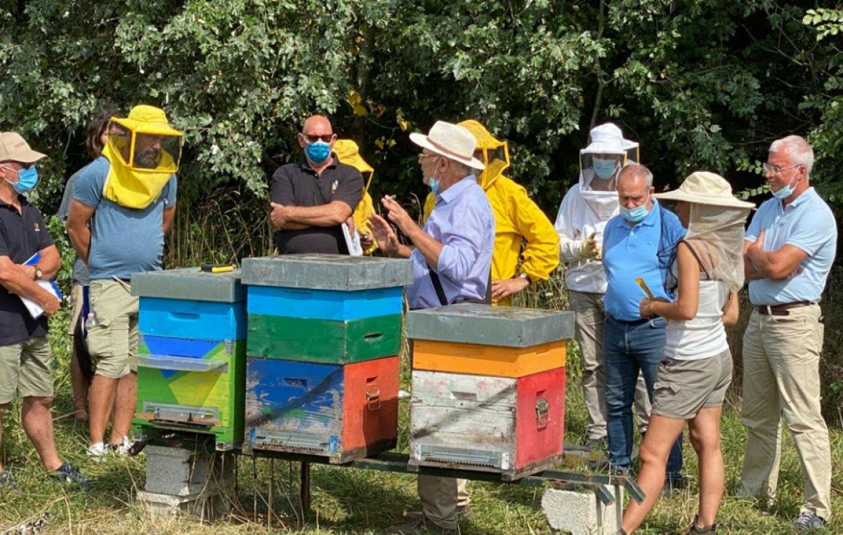 CAORLE-VALLEVECCHIA (VE): ISTRUZIONI PER L’USO CONTRO LA VARROA DELLE API