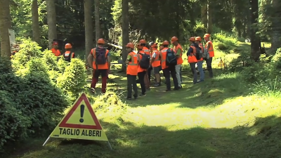 CANSIGLIO (TV-BL): UN CANTIERE PER LA FORMAZIONE FORESTALE