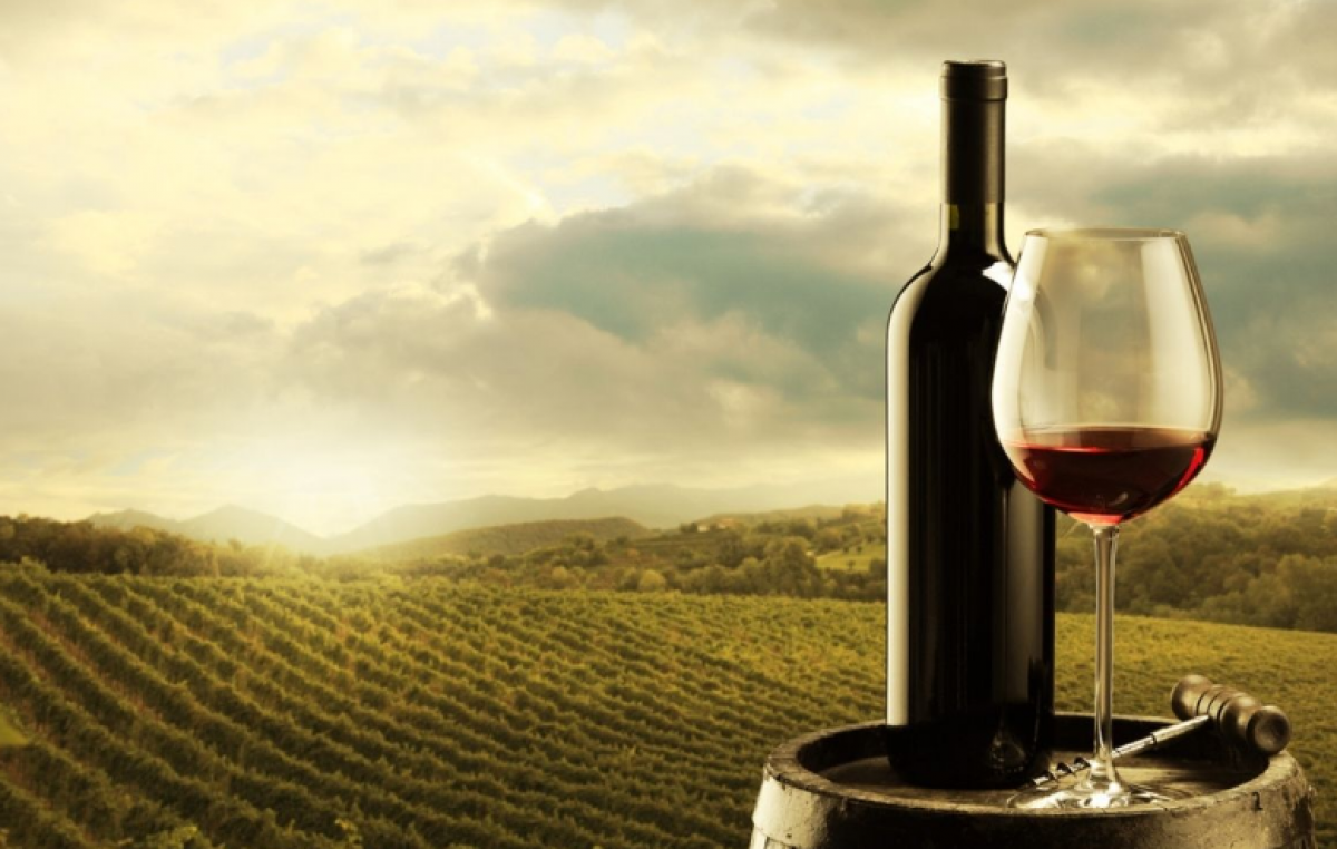 VINO VENETO, L’EXPORT VALE 2,24 MILIARDI DI EURO (NONOSTANTE LA FLESSIONE). LA REGIONE SI CONFERMA QUARTA POTENZA MONDIALE