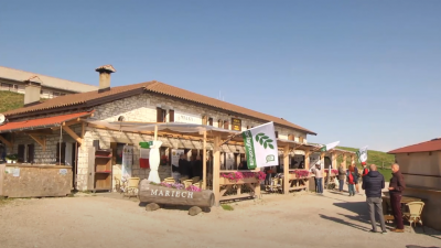 I 50 ANNI DEL 1° CAMPO RIMBOSCHIMENTO MALGA MARIECH A VALDOBBIADENE (TV)