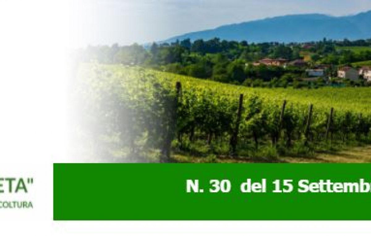 NEWSLETTER “AGRICOLTURA VENETA” N. 30 DEL 15.09.2021