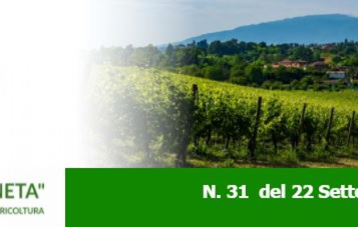 Newsletter Agricoltura Veneta n. 31 del 22.9.2021