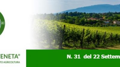 Newsletter Agricoltura Veneta n. 31 del 22.9.2021