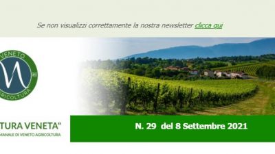 NEWSLETTER “AGRICOLTURA “VENETA” N. 29 DEL 8_9_2021