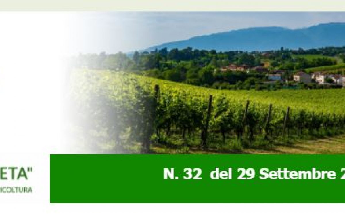 NEWSLETTER AGRICOLTURA VENETA N. 32 DEL 29.9.2021